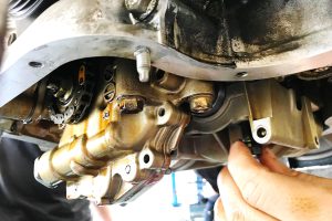 42109797 2123378467672340 4668595679424151552 o